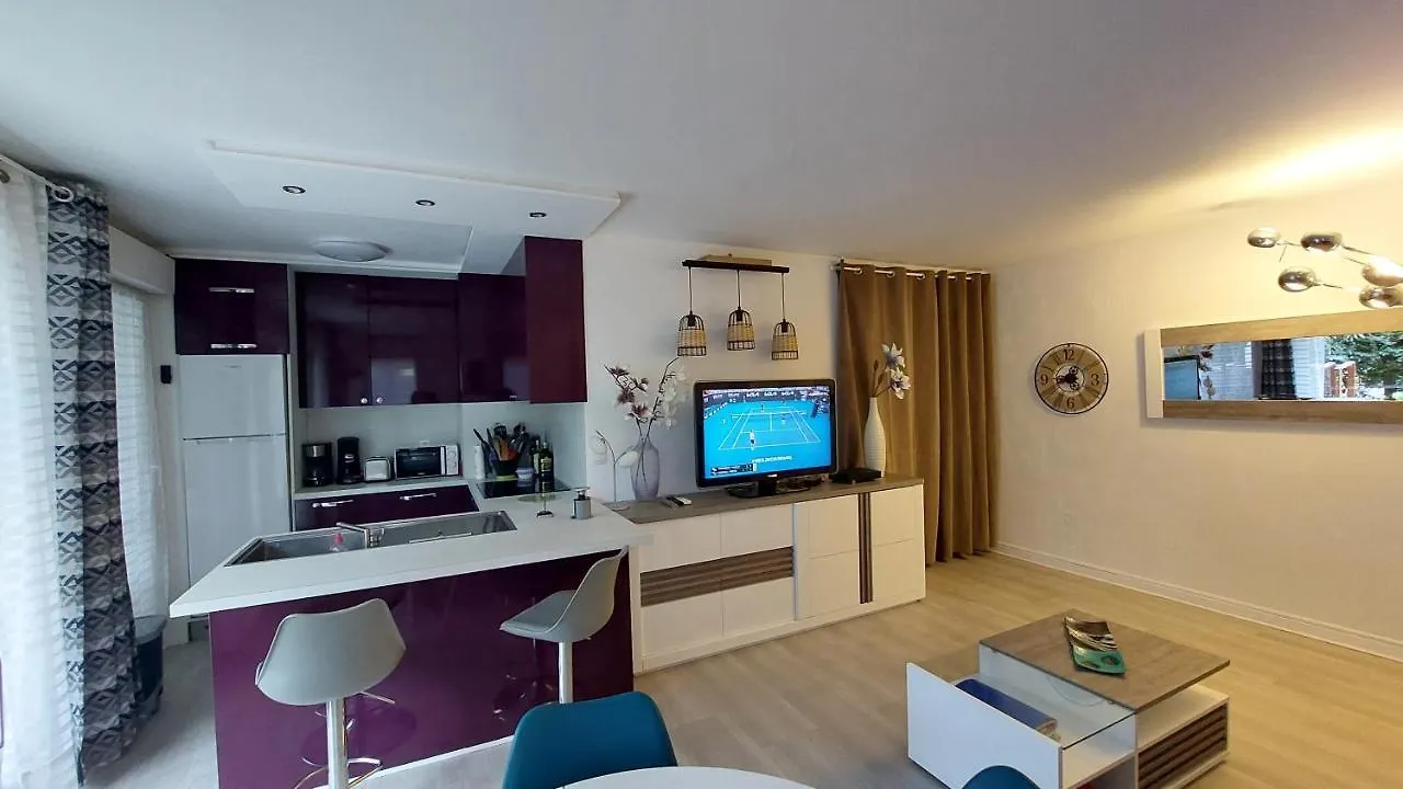 Charmant Appartement Residentiel Avec Terrasse, Jardin Privatif Et Piscine A Cannes Daire