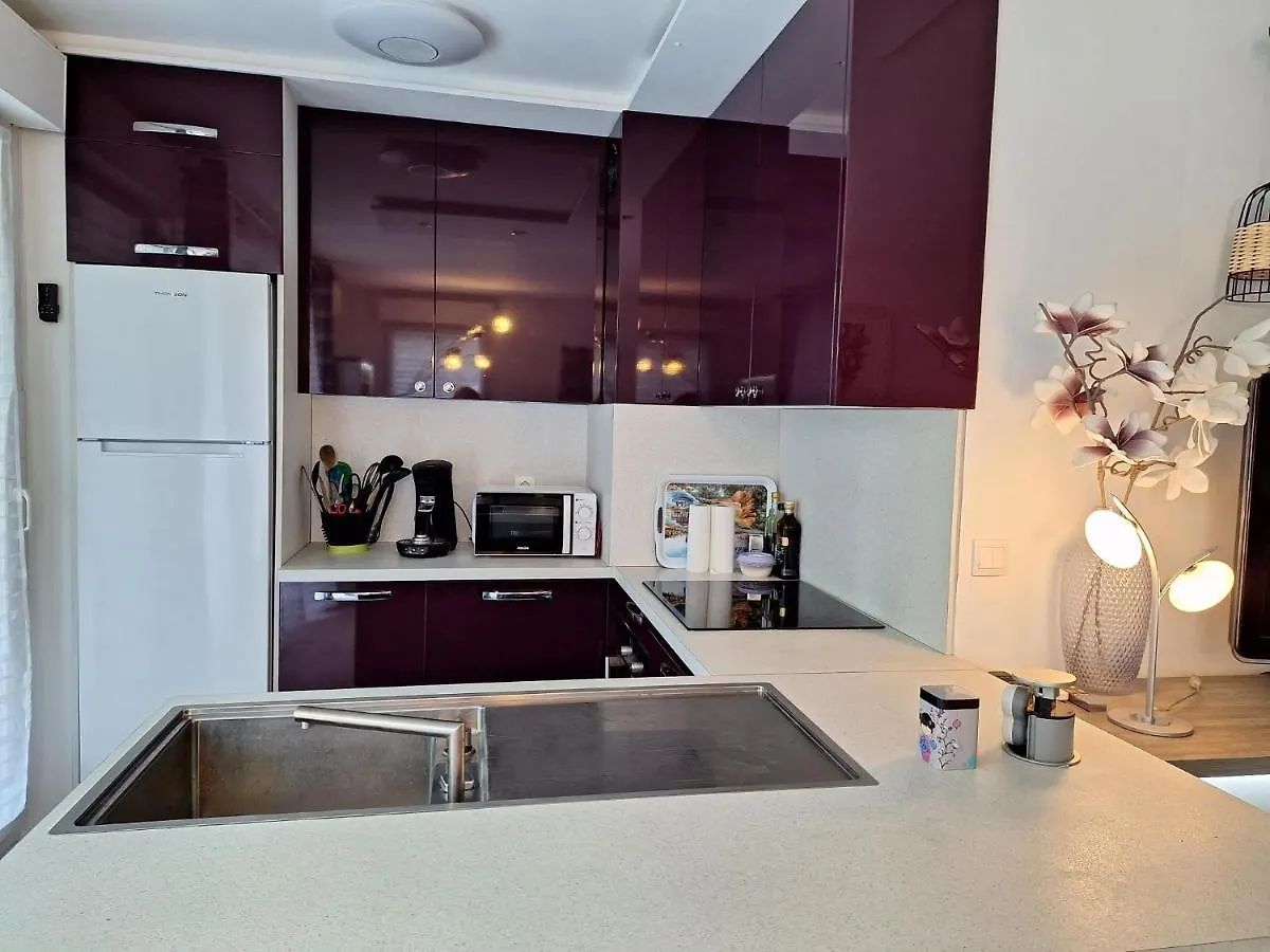 Charmant Appartement Residentiel Avec Terrasse, Jardin Privatif Et Piscine A Cannes Fransa
